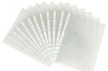 Sơ my lỗ Trung quốc