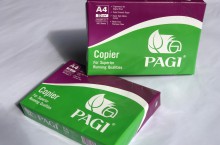 Giấy A3 Pagi xanh 70